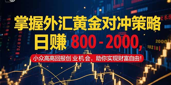 掌握外汇黄金对冲策略，日赚 800 - 2000，小众高回报创业机会，助你实...-轻资本网