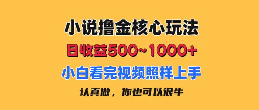 小说撸金核心玩法，日收益500-1000+，小白看完照样上手，0成本有手就行-轻资本网