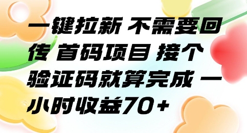 一键拉新 不需要回传 首码项目 接个验证码就算完成 一小时收益70+【揭秘】-轻资本网