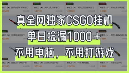 真全网独家CSGO挂G，单日捡漏1k+【揭秘】-轻资本网