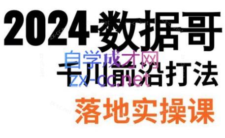数据哥·2024年千川前沿打法落地实操课-轻资本网