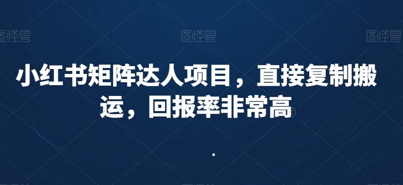 小红书矩阵达人项目，直接复制搬运，回报率非常高-轻资本网