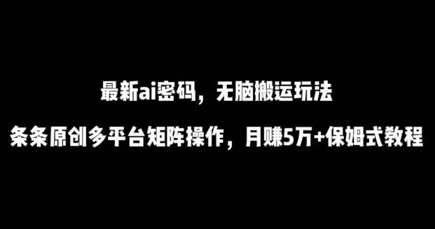 最新ai流量密码，傻瓜式搬运玩法，条条原创，多平台矩阵操作，月赚5万+保姆式教程【揭秘】-轻资本网
