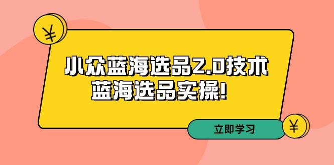 拼多多培训第33期：小众蓝海选品2.0技术-蓝海选品实操！-轻资本网