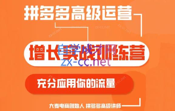 大麦老师·拼多多单品爆款打造课程(更新6月)-轻资本网