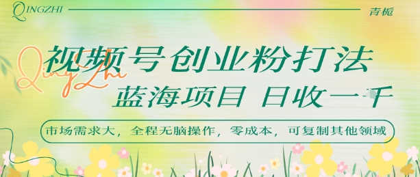 视频号创业粉打法，日入1k，蓝海项目，市场需求大，全程无脑操作，可复制-轻资本网