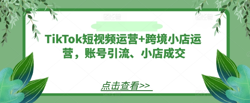 TikTok短视频运营+跨境小店运营，账号引流、小店成交-轻资本网