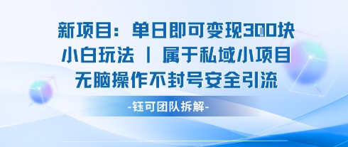 新项目单日即可变现3张的小白玩法无脑操作不封号安全引流-轻资本网