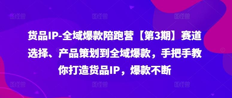 货品IP全域爆款陪跑营【第3期】赛道选择、产品策划到全域爆款，手把手教你打造货品IP，爆款不断-轻资本网