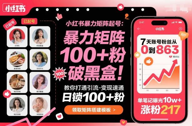 小红书暴力矩阵起号，教你打通引流-变现速通，日锁100+粉，破流量黑盒-轻资本网