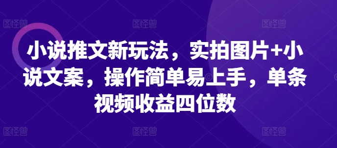 小说推文新玩法，实拍图片+小说文案，操作简单易上手，单条视频收益四位数-轻资本网