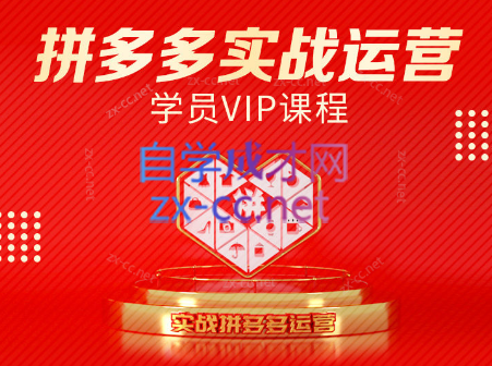 推易电商·拼多多实战运营课(更新2025月)-轻资本网