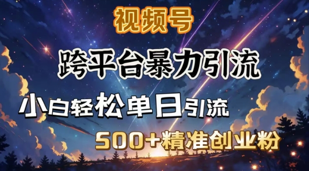 跨平台暴力引流，私域完美闭环，日引500+精准创业粉-轻资本网