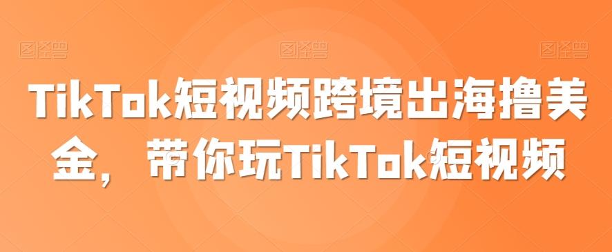 TikTok短视频跨境出海撸美金，带你玩TikTok短视频-轻资本网