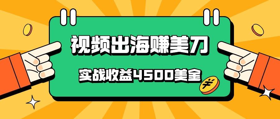 国内爆款视频出海赚美刀，实战收益4500美金，批量无脑搬运，无需经验直接上手-轻资本网