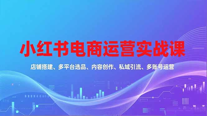 小红书电商运营实战课，店铺搭建、多平台选品、内容创作、私域引流、多账号运营等玩法-轻资本网