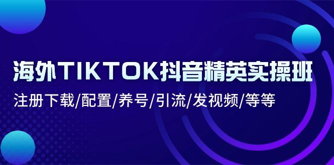 海外TIKTOK抖音精英实操班：注册下载/配置/养号/引流/发视频/等等-轻资本网