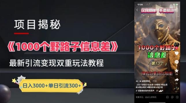 一千个野路子信息差最新玩法教程-变现+引流的玩法具体拆解【揭秘】-轻资本网