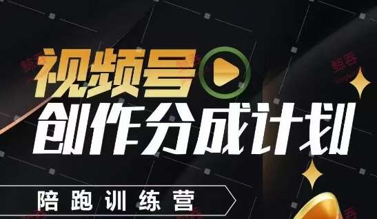 视频号创作分成计划陪跑训练营，手把手教会你如何制作视频，细水长流型项目-轻资本网