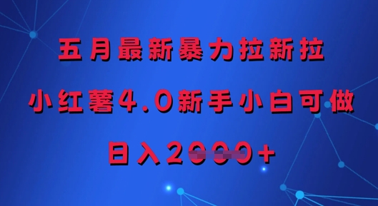 五月最新暴力拉新拉，小红薯4.0新手小白可做，日入多张-轻资本网