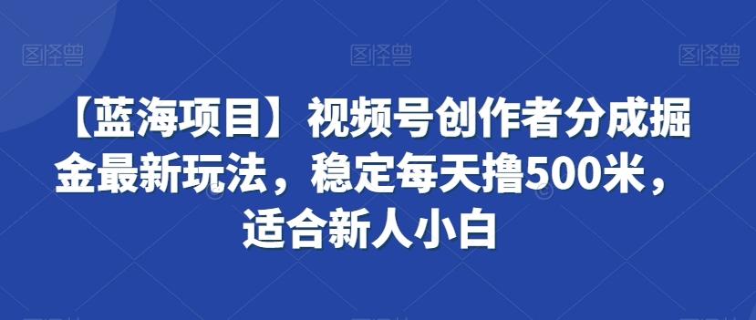 【蓝海项目】视频号创作者分成掘金最新玩法，稳定每天撸500米，适合新人小白【揭秘】-轻资本网