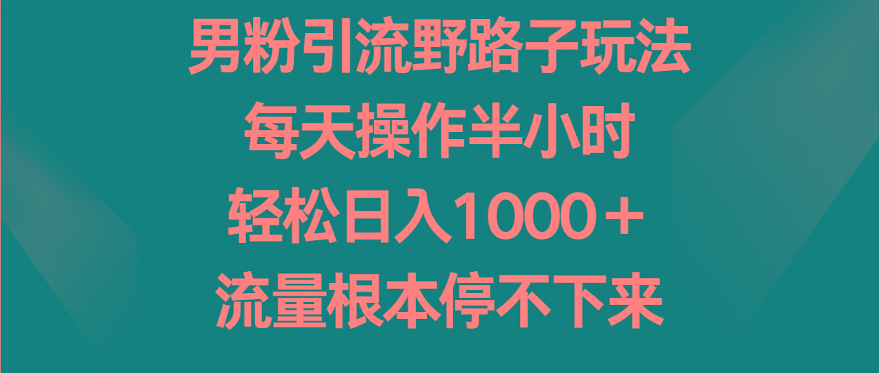 男粉引流野路子玩法，每天操作半小时轻松日入1000＋，流量根本停不下来-轻资本网
