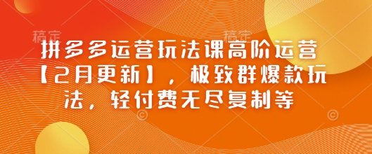 拼多多运营玩法课高阶运营【2月更新】，极致群爆款玩法，轻付费无尽复制等-轻资本网