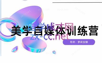 安娜·美学自媒体IP系统课-轻资本网