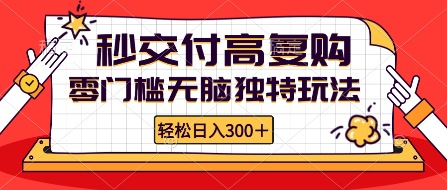 零门槛无脑独特玩法 轻松日入300+秒交付高复购   矩阵无上限-轻资本网