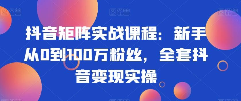 抖音矩阵实战课程：新手从0到100万粉丝，全套抖音变现实操-轻资本网