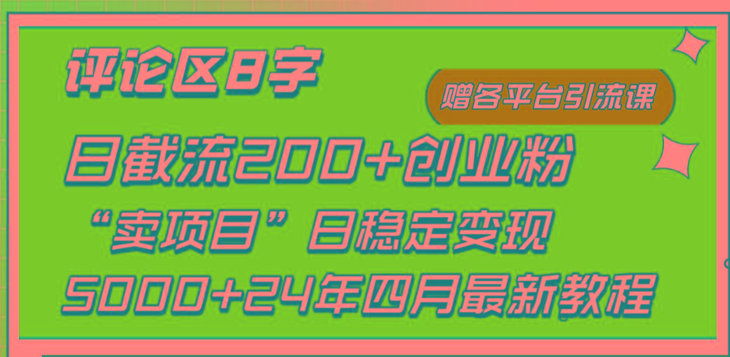 (9851期)评论区8字日载流200+创业粉  日稳定变现5000+24年四月最新教程！-轻资本网