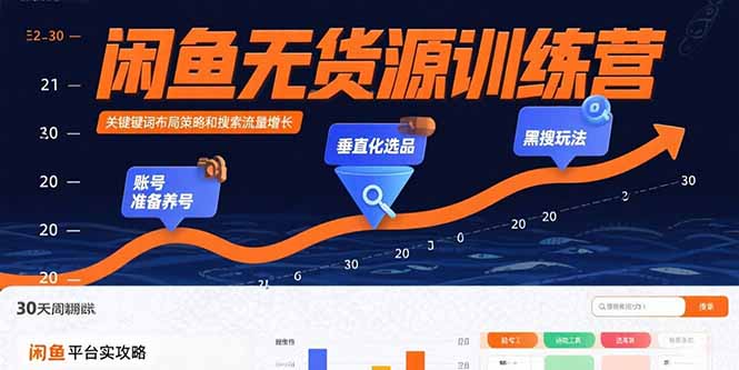 闲鱼无货源训练营：账号准备养号/垂直化选品/黑搜玩法，0基础30天盈利指南-轻资本网