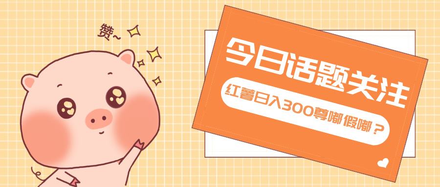 全新红薯浏览，打破常规 双端操作，每天运行6小时，让你获得工作以外的…-轻资本网