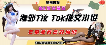 海外tiktok小说推文暴力项目，高停留率，高转化率，上手后一天搞顿饭钱不是问题-轻资本网