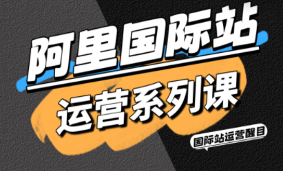 醒目老师·阿里国际站运营系列课(更新11月)-轻资本网