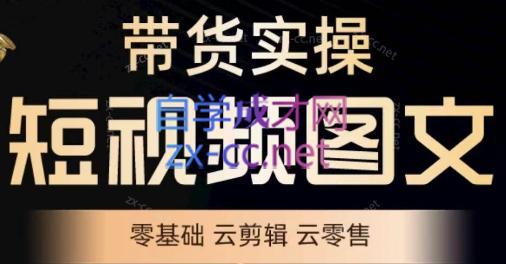 鑫哥·2024零基础短视频带货实操营-轻资本网