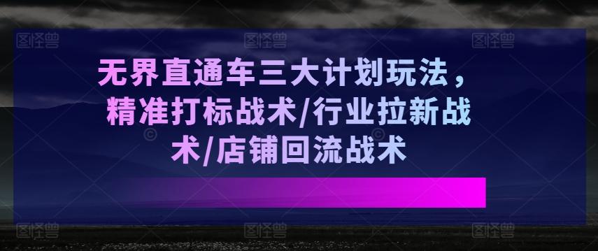 无界直通车三大计划玩法，精准打标战术/行业拉新战术/店铺回流战术-轻资本网
