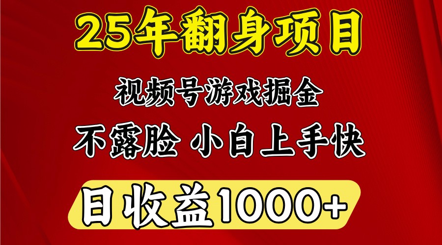 一天收益1000+ 25年开年落地好项目-轻资本网