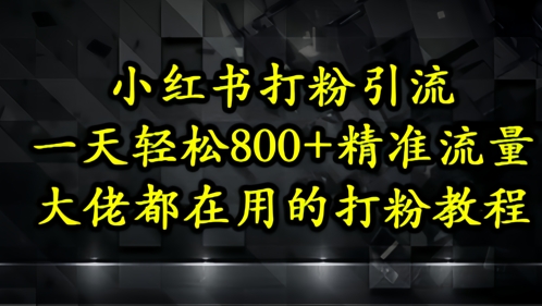 小红书打粉引流，一天轻松500+精准流量，大佬都在用的打粉教程-轻资本网
