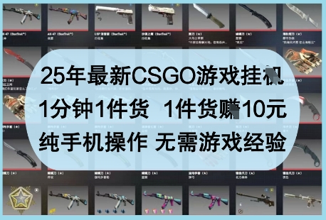 25年最新CSGO游戏挂G，1分钟1件货，1件货挣10元，纯手机操作，无需游戏经验【揭秘】-轻资本网