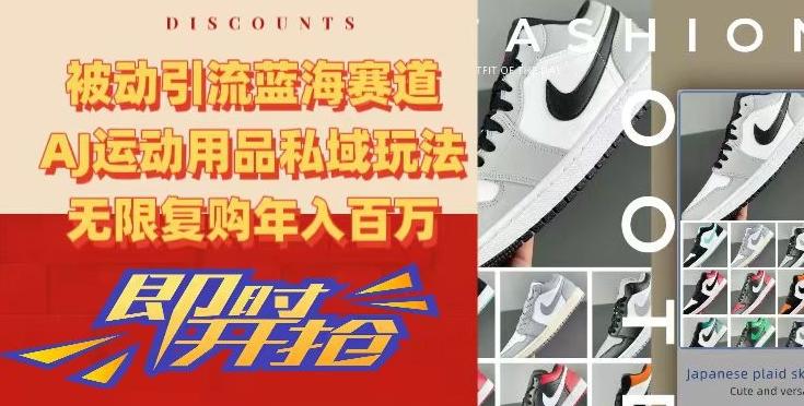 被动引流蓝海赛道，AJ运动用品私域玩法，无限复购年入百万【揭秘】-轻资本网