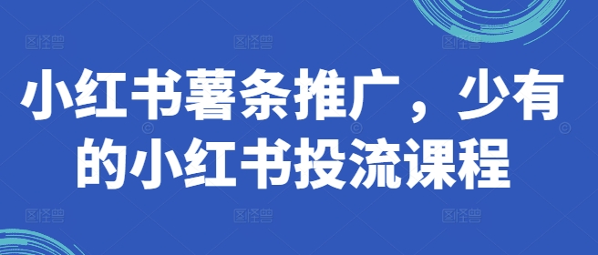 小红书薯条推广，少有的小红书投流课程-轻资本网