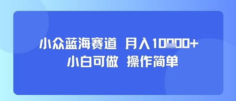 小众蓝海赛道，小白可做，操作简单，每天30分钟，月入1W+-轻资本网
