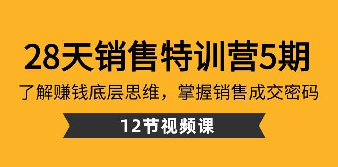 28天销售特训营5期：了解赚钱底层思维，掌握销售成交密码（12节课）-轻资本网