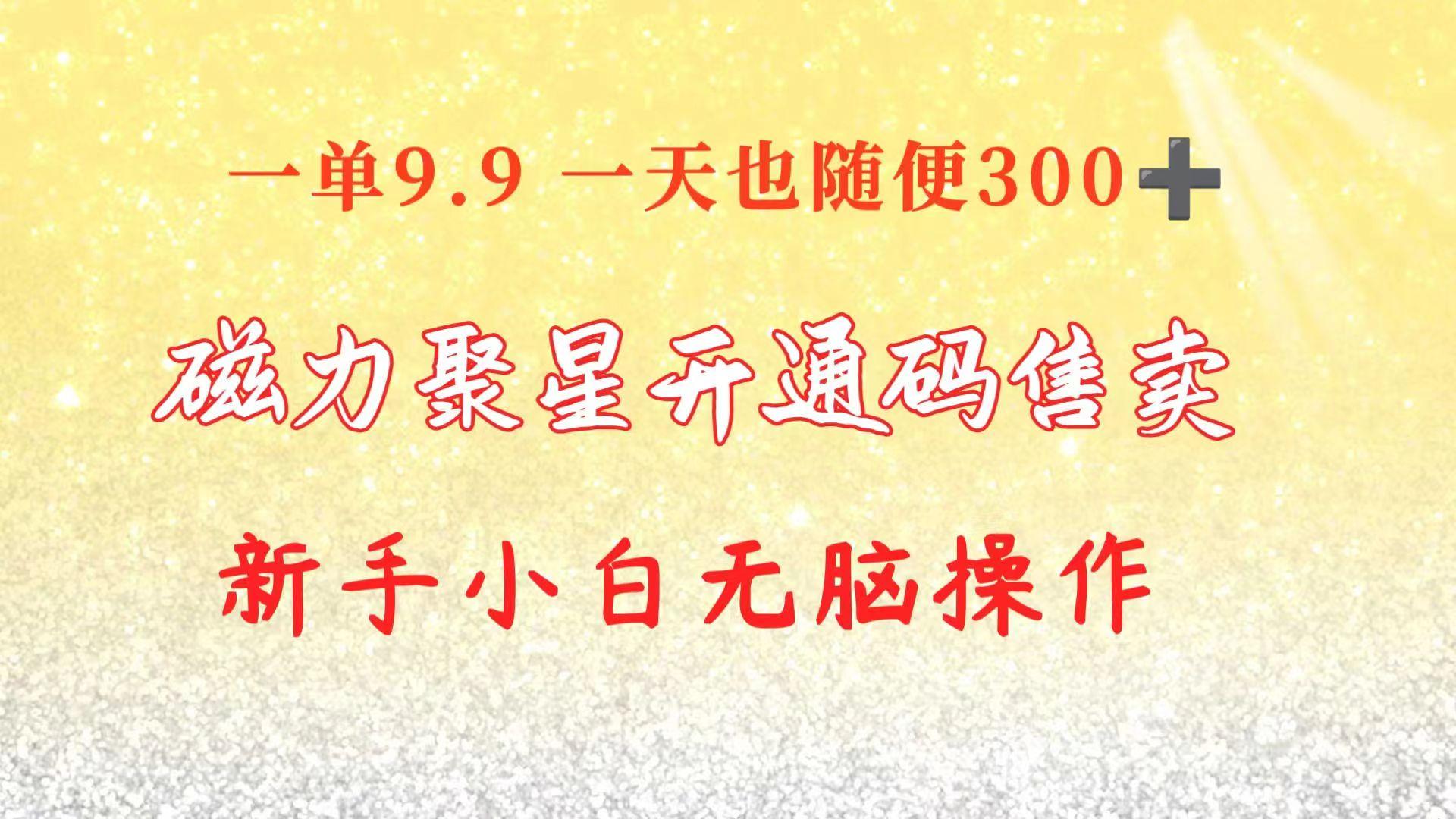 快手磁力聚星码信息差 售卖  一单卖9.9  一天也轻松300+ 新手小白无脑操作-轻资本网
