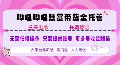 2025年B站风口带货项目 仅需提供账号 全程托管 轻松月入1w+-轻资本网