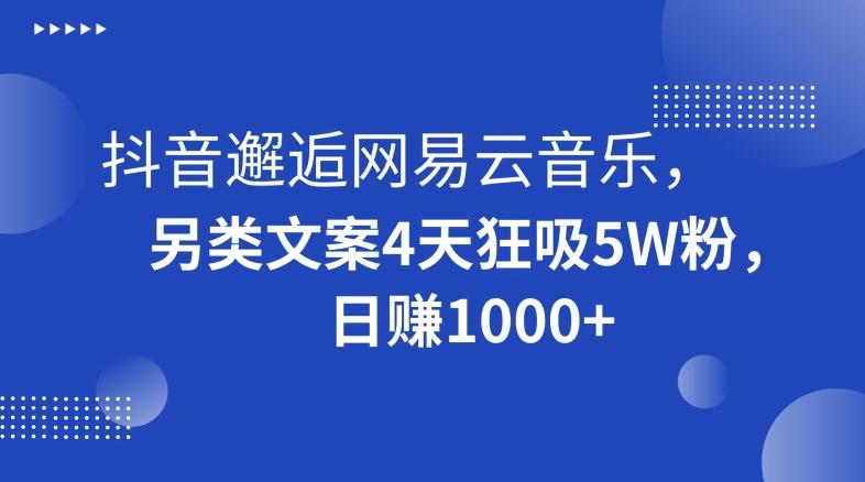 抖音邂逅网易云音乐，另类文案4天狂吸5W粉，日赚1000+【揭秘】-轻资本网
