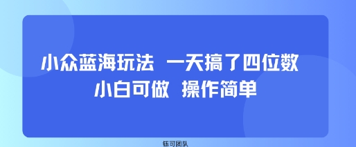小众蓝海玩法 一天搞了四位数 小白可做 操作简单-轻资本网