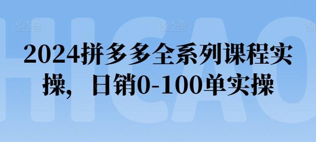 2024拼多多全系列课程实操，日销0-100单实操【必看】-轻资本网