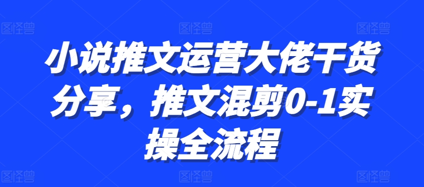 小说推文运营大佬干货分享，推文混剪0-1实操全流程-轻资本网